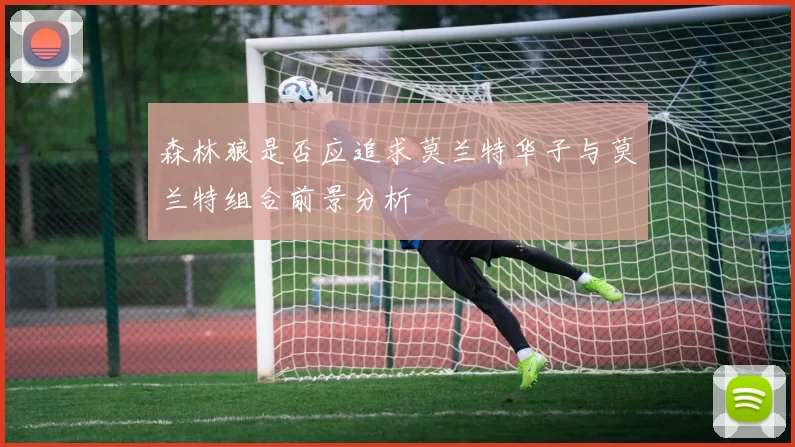森林狼是否应追求莫兰特华子与莫兰特组合前景分析
