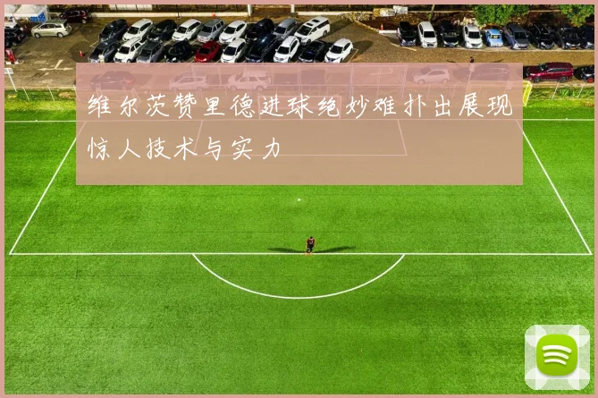 维尔茨赞里德进球绝妙难扑出展现惊人技术与实力
