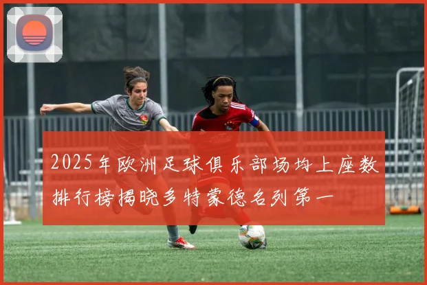 2025年欧洲足球俱乐部场均上座数排行榜揭晓多特蒙德名列第一