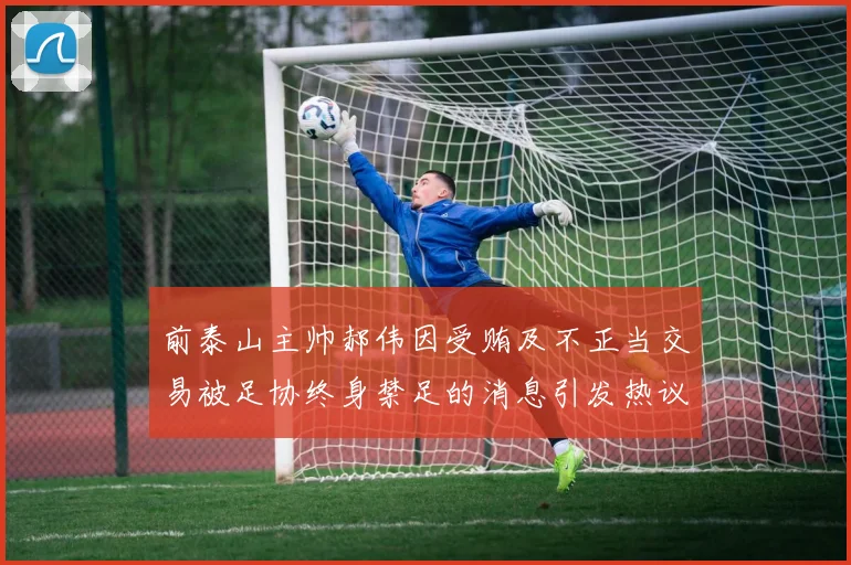 前泰山主帅郝伟因受贿及不正当交易被足协终身禁足的消息引发热议
